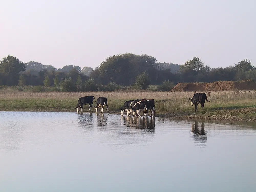 Deeping Lakes Nature Reserve, the local landmark of PE6